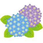 折り紙　あじさい　折り方　簡単な紫陽花の作り方　梅雨の季節飾り