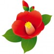 camellia-i1