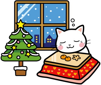 12月猫