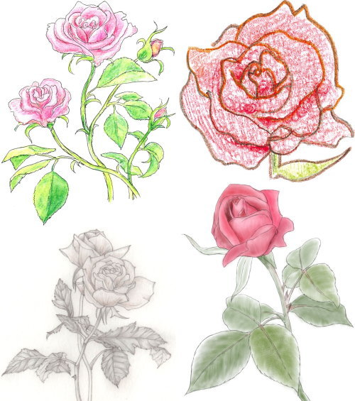 バラ イラスト フリー画像 薔薇の花イラストかわいい シルエット