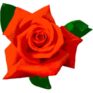 バラ イラスト フリー画像 薔薇の花イラストかわいい シルエット フレーム 背景 モノクロ素材