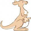 kangaroo-i2